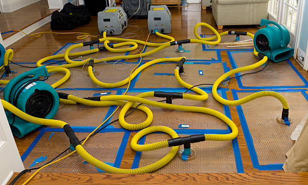 Professional Storm Water Damage Restoration technician working in Newcastle, WA